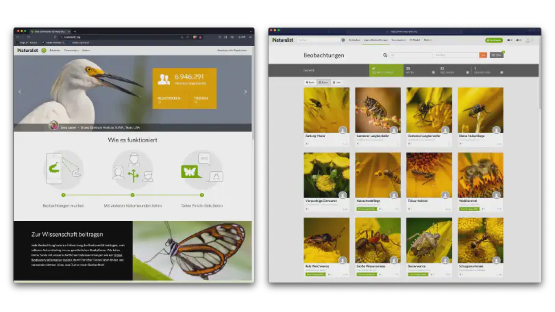 www.iNaturalist.org – Citizen-Science-Projekt für die Dokumentation der weltweiten Artenvielfalt