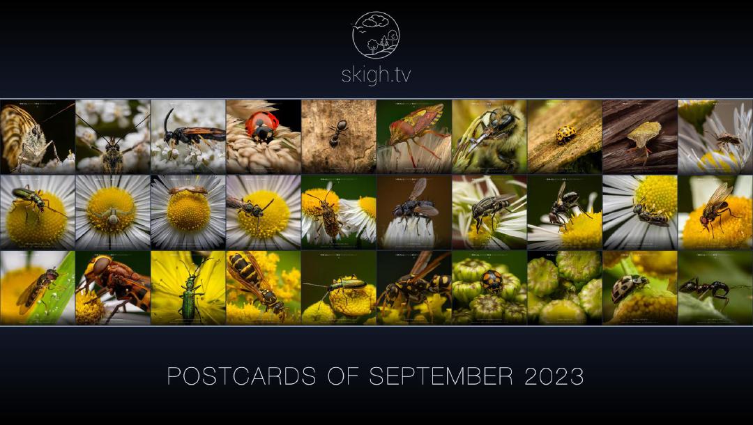 Erster Monat „Kleine Wesen – große Verantwortung“