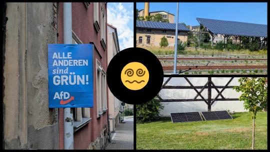 Ich lebe freiwillig in Sachsen und bin nur noch genervt