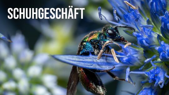 Episode 3: Schuhgeschäft