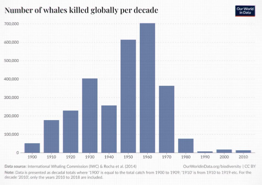 Anzahl der Waltötungen im Verlauf der Zeit. Quelle: our world in data