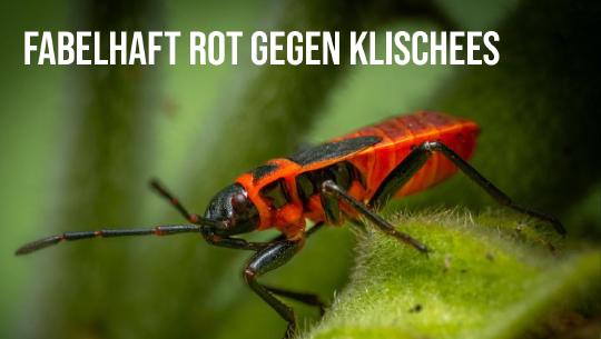 Episode 10: Fabelhaft rot gegen Klischees