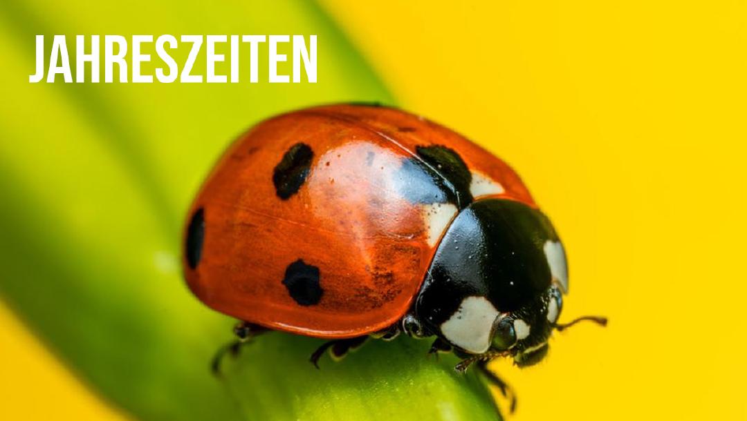 Episode 12: Jahreszeiten