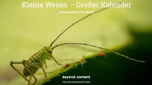 Kleine Wesen – Großer Kalender