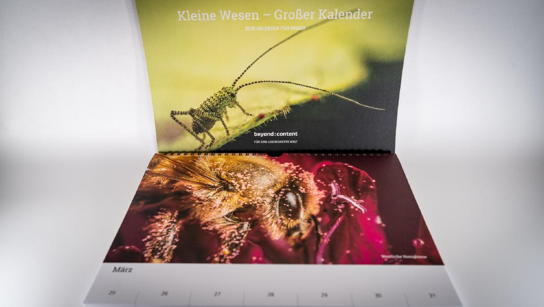 Unser Kalender als Dank